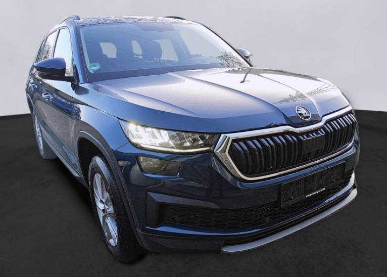 Skoda Kodiaq Ambition SHZ/LED/ACC