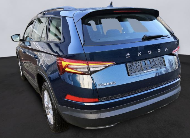 Skoda Kodiaq Ambition SHZ/LED/ACC