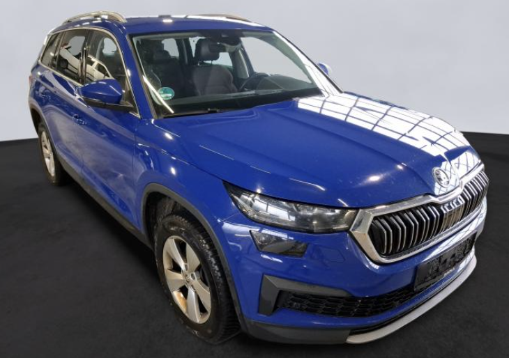 Skoda Kodiaq Style Memory/Kamera/LED/SHZ