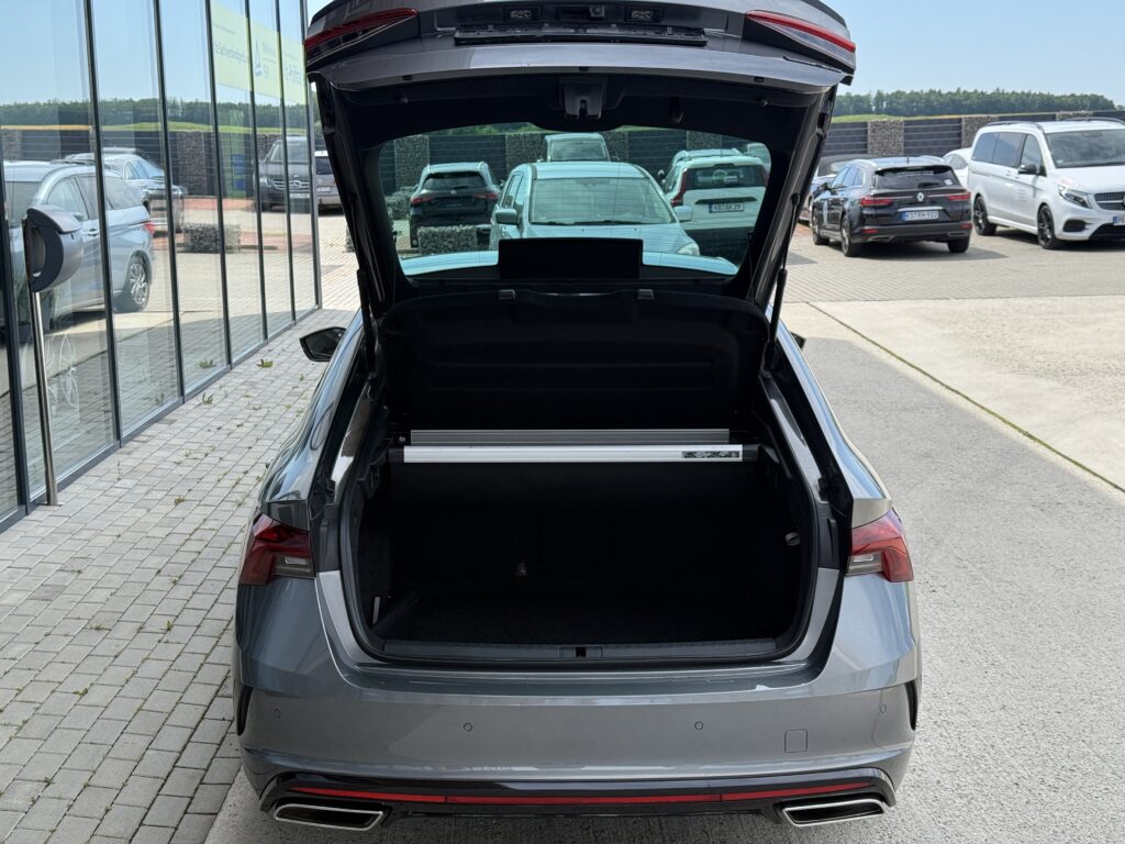 Skoda Octavia RS 360°/LKHZ/HUD/SHZ