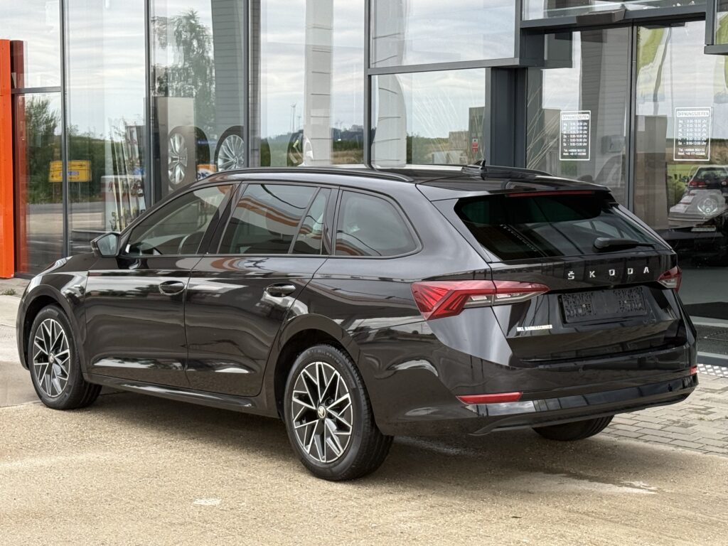 Skoda Octavia Clever Massage/LKHZ/Kamera/SHZ/LED
